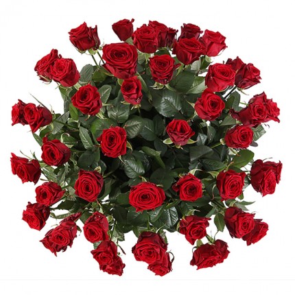 Корзина из 51 красной розы Ред Наоми №46