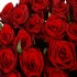 Букет №2 (21 красная роза Ред Наоми с атласной лентой)