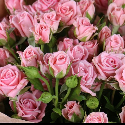 Букет 322 (15 розовых кустовых роз)