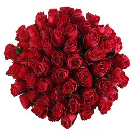 Букет №114 (51 красная роза Родос)
