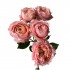Роза кустовая пионовидная Джульетта (Нидерланды)