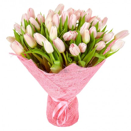 Букет из 51 нежно-розового тюльпана Thijs Boots в упаковке №129