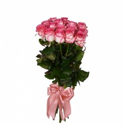 Букет №326 (15 бело-розовыз роз Джумилия)