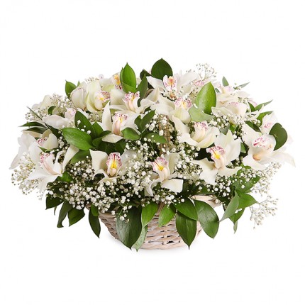 Корзинка с 60 белыми цветками Орхидеи с гипсофилой №15