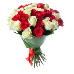 Букет №351 (51 красной роза Фридом и белая розы Мондиаль)