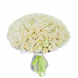Букет из 151 белой розы Аваланш №204