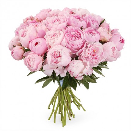 Букет из 29 розовых пионов Сара Бернар №319