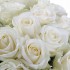 Букет №64 (25 белых роз Аваланш)