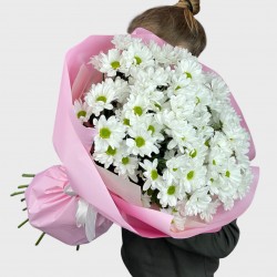 Букет №257 (15 белых кустовых хризантем)