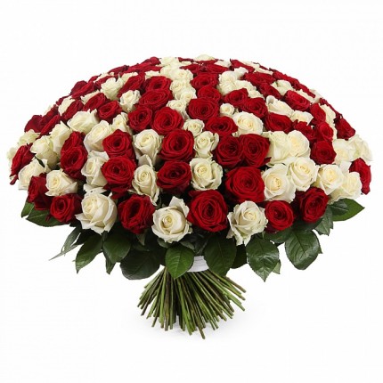 Букет из 201 белой розы Аваланш и красной розы Ред Наоми №156