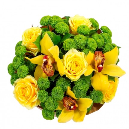 Букет из желтых роз, зеленых хризантем и желтых орхидей №239