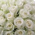 Коробочка из 51 белой розы Аваланш №2