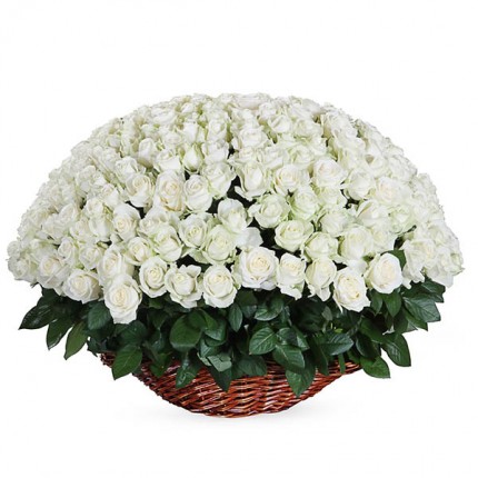 Корзинка №53 (251 белая роза Аваланш)