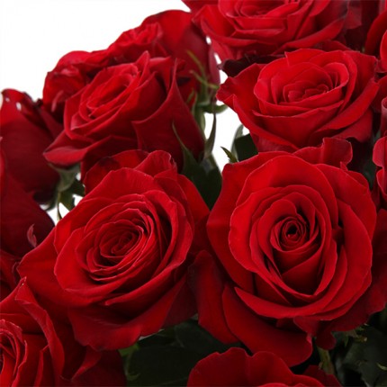Букет из №48 (25 красных роз Фридом)