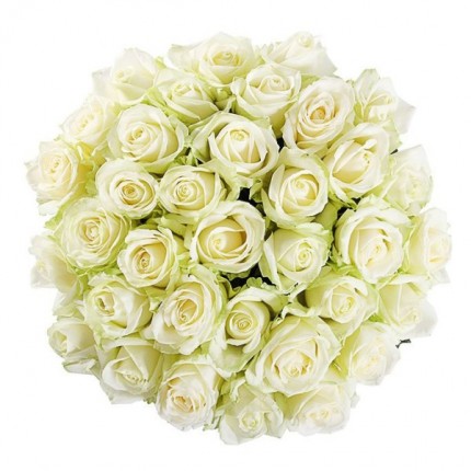 Букет №74 (35 белых роз Аваланш)