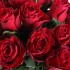 Букет №114 (51 красная роза Родос)