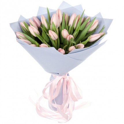Букет из нежно-розовых тюльпанов Thijs Boots в упаковке №65